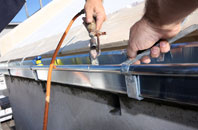 free Barking fascia quotes